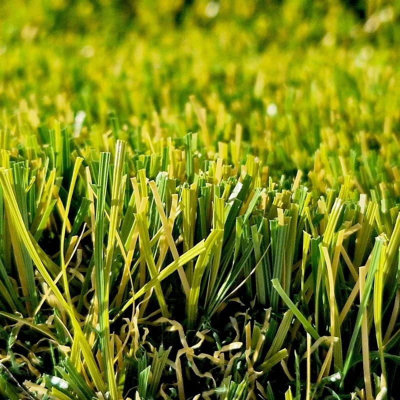 Miniature 4