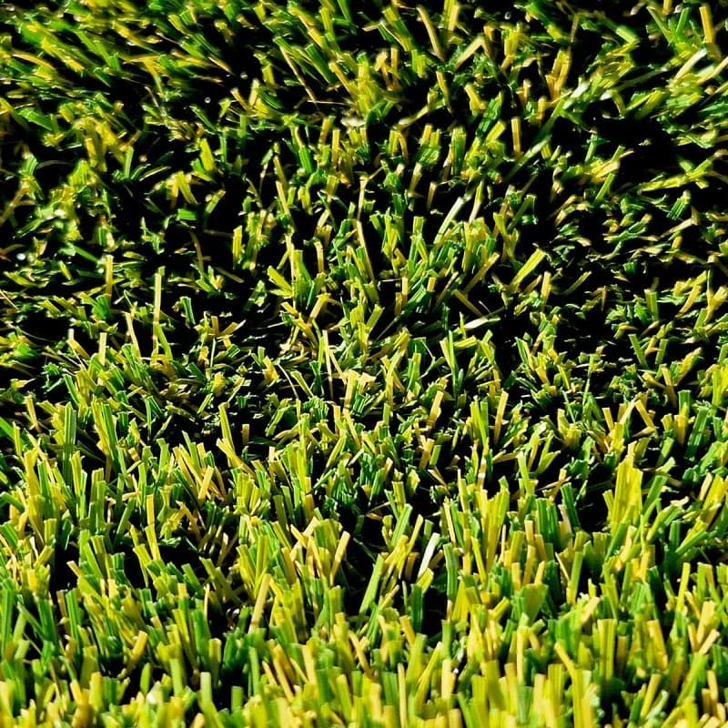 Miniature 5