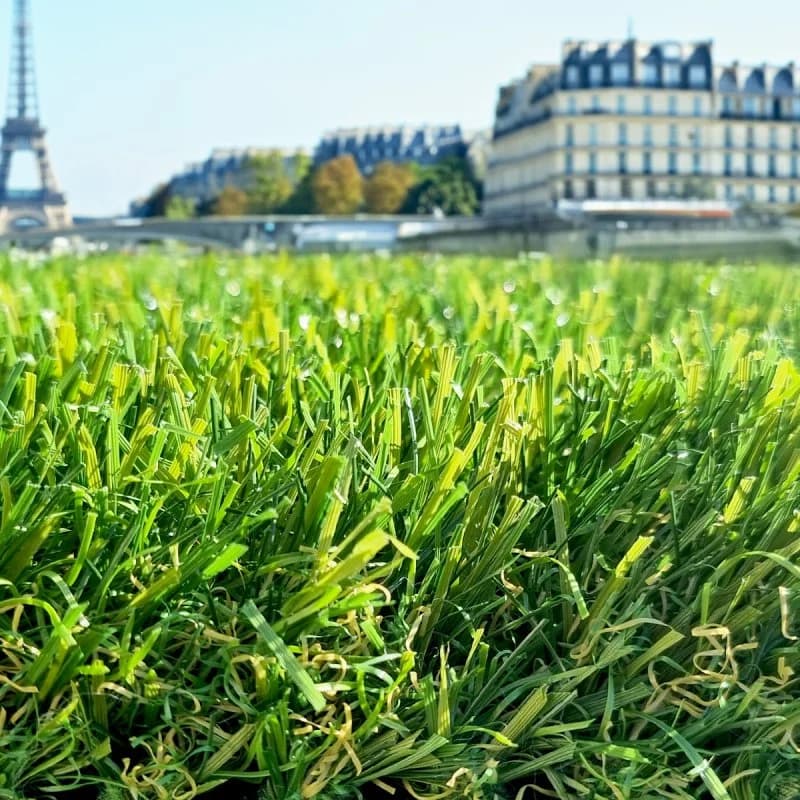 Miniature 4